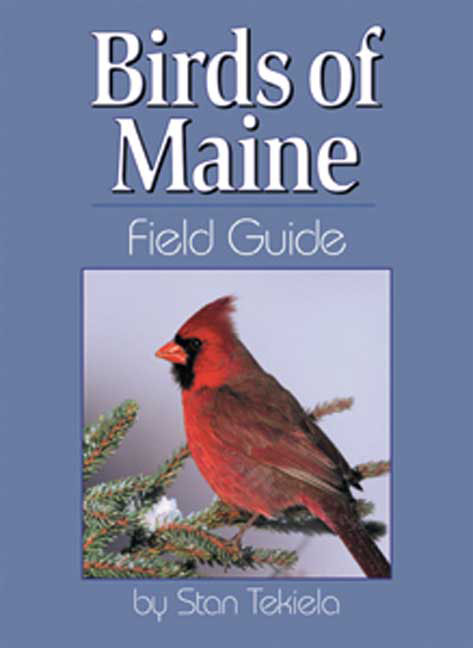 Birds Maine Field Guide